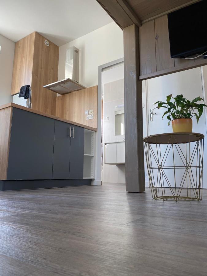 Studio Cocoon Амбуаз Екстер'єр фото